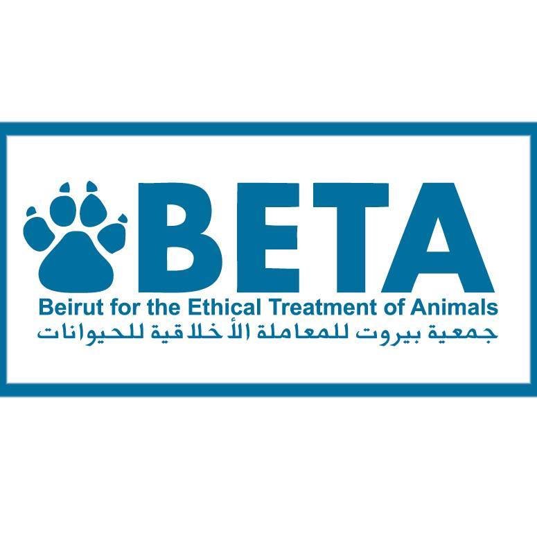BETA - Beirut for the Ethical Treatment of Animals